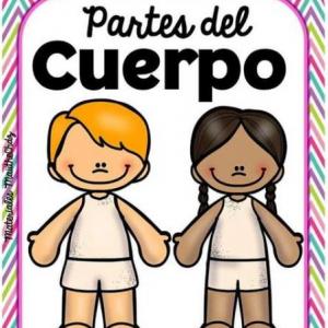 Las partes del cuerpo