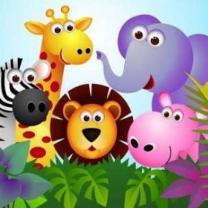 Colores y animales