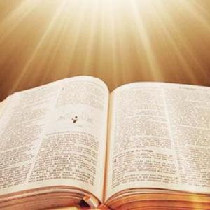 Los libros de la Ley