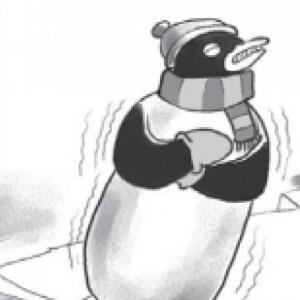 Brrr, el pingüino friolento