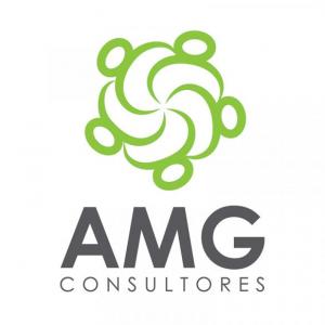 AMG Consultores