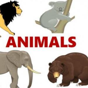 Aprendiendo animales en inglés