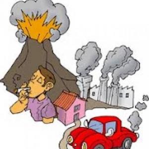 La contaminación del aire.