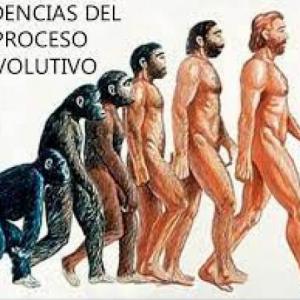 ¿Cuál evidencia es?