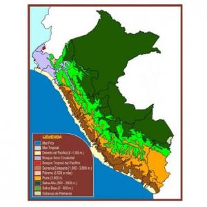 ECORREGIONES DEL PERÚ