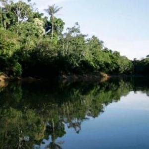 PARQUE NACIONAL YASUNÍ