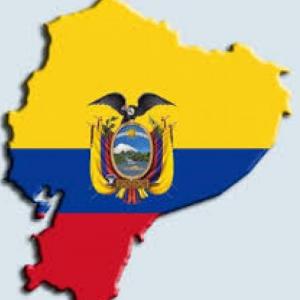 Las autoridades  y sus funciones