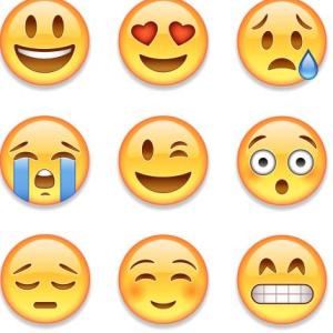 LAS EMOCIONES