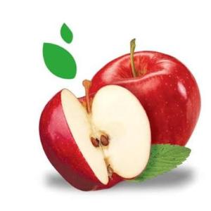 el mundo de las frutas, verduras y animales 