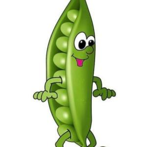 descubriendo las verduras 