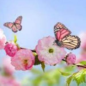 La primavera