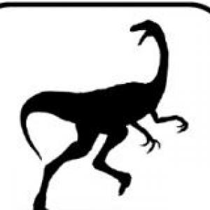 BUSCA LA SILUETA DE CADA DINOSAURIO