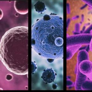 Imagen de portada del videojuego educativo: Adivina los microorganismos, de la temática Biología