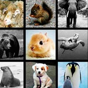 Imagen de portada del videojuego educativo: Animales, de la temática Ciencias