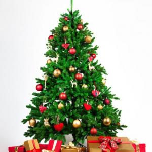 CHRISTMAS