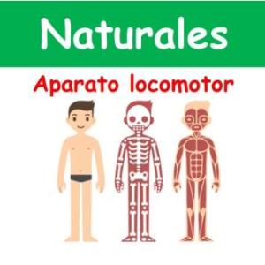 APARATO LOCOMOTOR