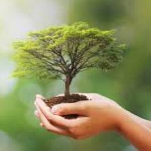 La naturaleza y sus animales