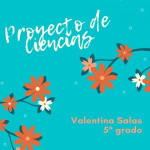 Proyecto de Ciencias I período