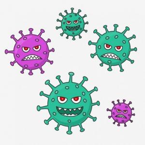 UN VIRUS MUY MALO