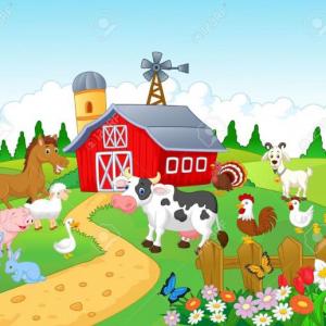 MEMOTEST DE LA GRANJA