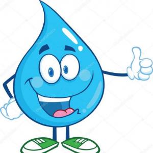 AGUA DULCE - PROYECTO DE INTERVENCION