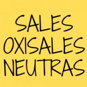 Imagen de portada del videojuego educativo: Sales Oxisales Neutras, de la temática Química