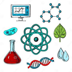 Preguntas de cultura general(BIOLOGIA)