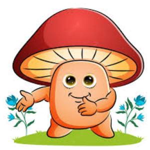 Enfermedades ( Aspergilosis y tinea )