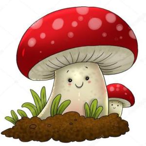 Enfermedades (Candida y onicomicosis)
