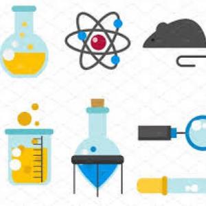 Quimica y biologia