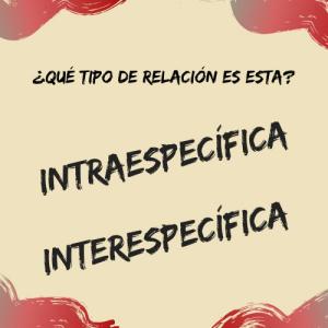 ¿Qué tipo de relación es está?