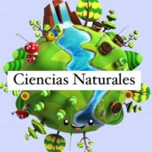 Animales 