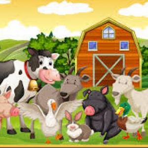 Portada del juego Animals on the farm – Idiomas