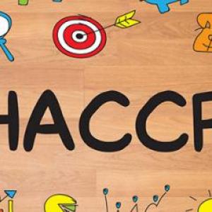 juegos de preguntas HACCP
