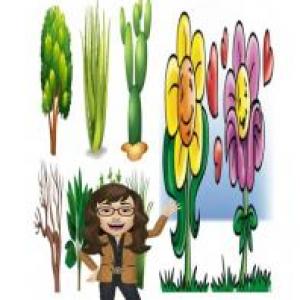 Imagen de portada del videojuego educativo: Reproducción de las plantas, de la temática Biología