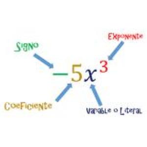 Taller de identificación y lenguaje algebraico