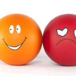 EMOCIONES 