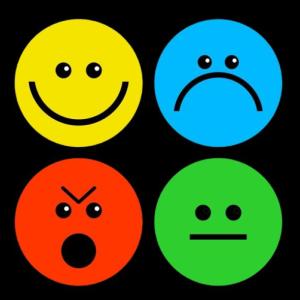 Reconoce las emociones