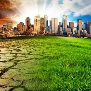Consecuencias del cambio climático