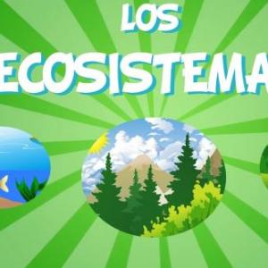 ¿CUÁNTO SABES DEL ECOSISTEMA?