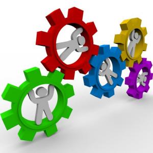 La Organización.