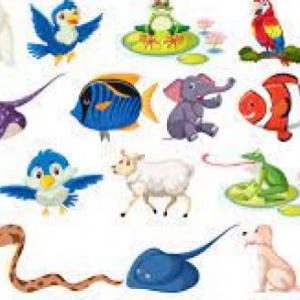 ANIMALES BELLAKOS 