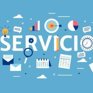 DESAFIO GERENCIAL EN SERVICIOS