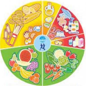 ALIMENTOS SEGUN SU ORIGEN  