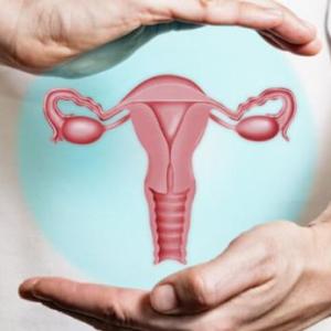 fertilidad