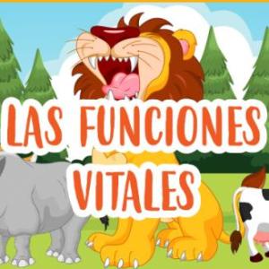Los seres vivos y las funciones