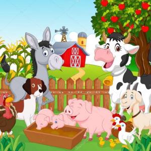 Encontrando a los animales