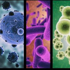 microbiología 