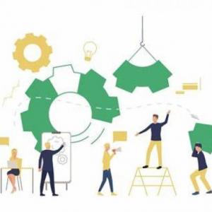 Estructura Funcional