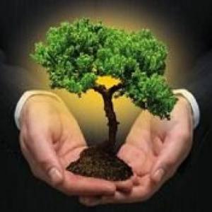 LA SUSTENTABILIDAD